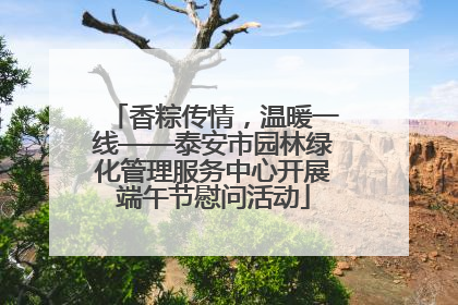 香粽传情，温暖一线——泰安市园林绿化管理服务中心开展端午节慰问活动