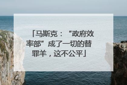 马斯克：“政府效率部”成了一切的替罪羊，这不公平