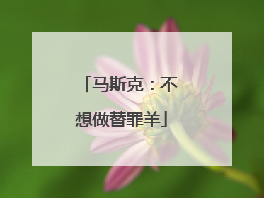 马斯克：不想做替罪羊