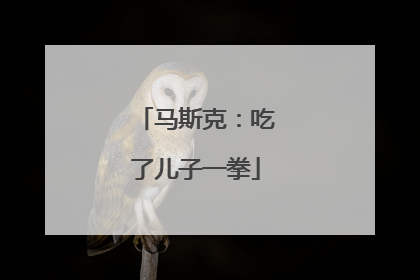 马斯克：吃了儿子一拳
