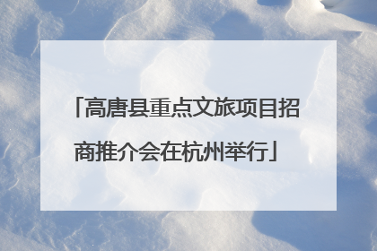 高唐县重点文旅项目招商推介会在杭州举行
