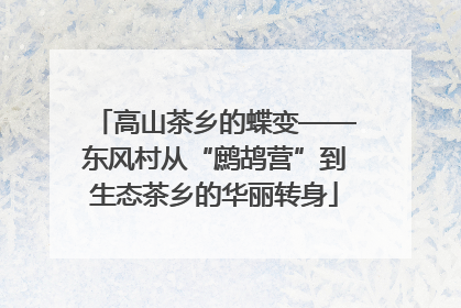 高山茶乡的蝶变——东风村从“鹧鸪营”到生态茶乡的华丽转身