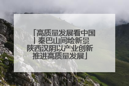高质量发展看中国丨秦巴山间绘新景 陕西汉阴以产业创新推进高质量发展