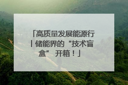 高质量发展能源行丨储能界的“技术盲盒” 开箱！