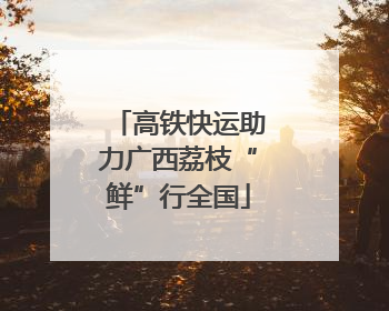 高铁快运助力广西荔枝“鲜”行全国