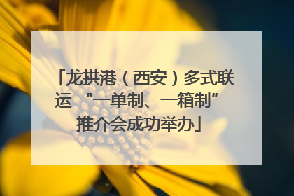 龙拱港（西安）多式联运 “一单制、一箱制” 推介会成功举办