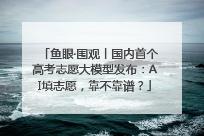 鱼眼·围观丨国内首个高考志愿大模型发布：AI填志愿，靠不靠谱？