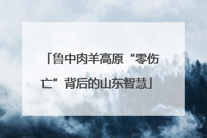 鲁中肉羊高原“零伤亡”背后的山东智慧