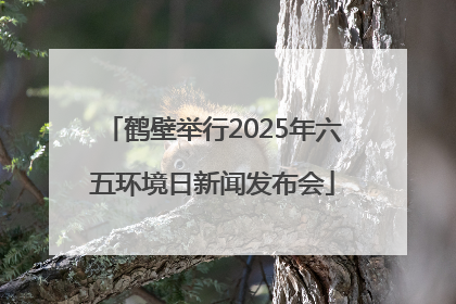 鹤壁举行2025年六五环境日新闻发布会