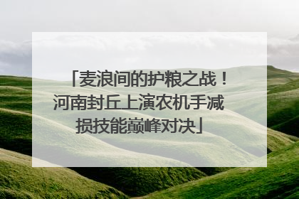 麦浪间的护粮之战！河南封丘上演农机手减损技能巅峰对决