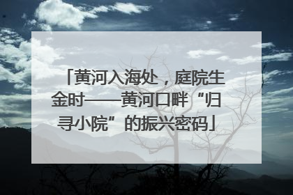 黄河入海处，庭院生金时——黄河口畔“归寻小院”的振兴密码