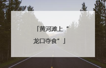 黄河滩上“龙口夺食”