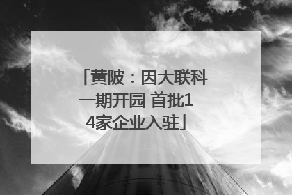 黄陂：因大联科一期开园 首批14家企业入驻
