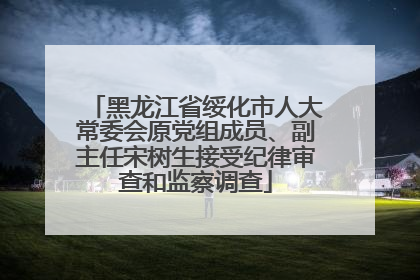 黑龙江省绥化市人大常委会原党组成员、副主任宋树生接受纪律审查和监察调查