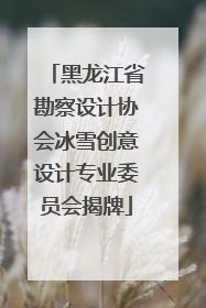 黑龙江省勘察设计协会冰雪创意设计专业委员会揭牌