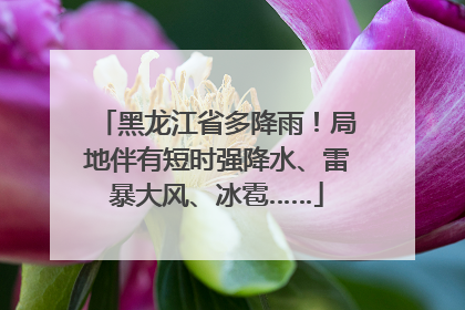 黑龙江省多降雨！局地伴有短时强降水、雷暴大风、冰雹……