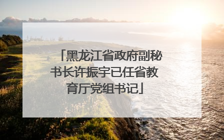 黑龙江省政府副秘书长许振宇已任省教育厅党组书记