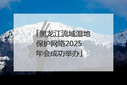 黑龙江流域湿地保护网络2025年会成功举办