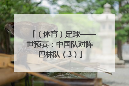 （体育）足球——世预赛：中国队对阵巴林队（3）