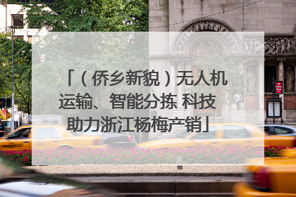 （侨乡新貌）无人机运输、智能分拣 科技助力浙江杨梅产销