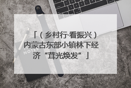 （乡村行·看振兴）内蒙古东部小镇林下经济“茸光焕发”