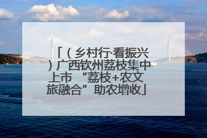 （乡村行·看振兴）广西钦州荔枝集中上市 “荔枝+农文旅融合”助农增收