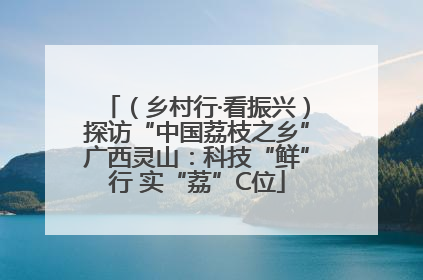 （乡村行·看振兴）探访“中国荔枝之乡”广西灵山：科技“鲜”行 实“荔”C位