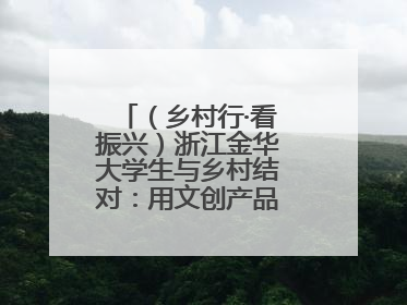 （乡村行·看振兴）浙江金华大学生与乡村结对：用文创产品赋能乡村振兴