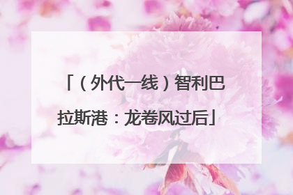 （外代一线）智利巴拉斯港：龙卷风过后