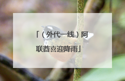 （外代一线）阿联酋喜迎降雨