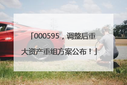 000595，调整后重大资产重组方案公布！