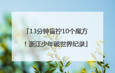 13分钟盲拧10个魔方！浙江少年破世界纪录
