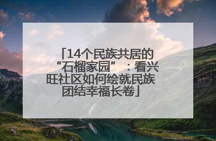 14个民族共居的“石榴家园”：看兴旺社区如何绘就民族团结幸福长卷