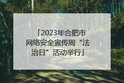 2023年合肥市网络安全宣传周“法治日”活动举行