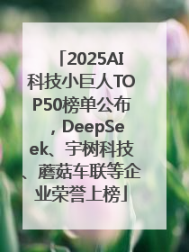 2025AI科技小巨人TOP50榜单公布，DeepSeek、宇树科技、蘑菇车联等企业荣誉上榜