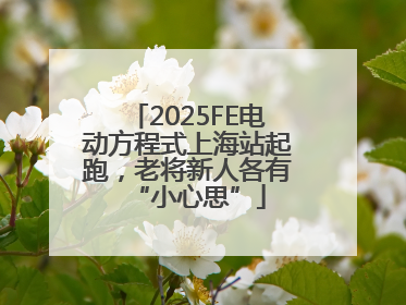 2025FE电动方程式上海站起跑，老将新人各有“小心思”