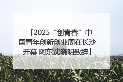 2025“创青春”中国青年创新创业周在长沙开幕 阿东沈晓明致辞