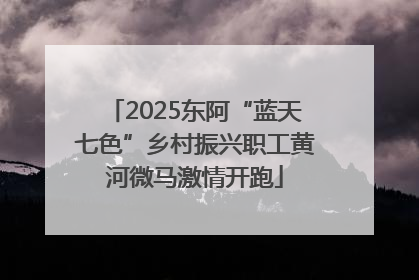 2025东阿“蓝天七色”乡村振兴职工黄河微马激情开跑