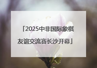 2025中非国际象棋友谊交流赛长沙开幕