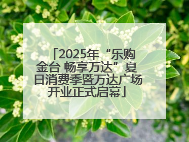2025年“乐购金台 畅享万达”夏日消费季暨万达广场开业正式启幕