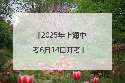 2025年上海中考6月14日开考