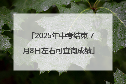 2025年中考结束 7月8日左右可查询成绩