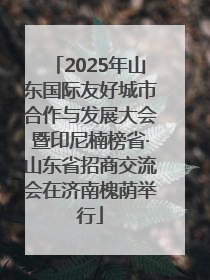 2025年山东国际友好城市合作与发展大会暨印尼楠榜省·山东省招商交流会在济南槐荫举行