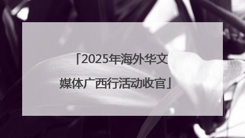 2025年海外华文媒体广西行活动收官