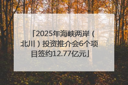 2025年海峡两岸（北川）投资推介会6个项目签约12.77亿元