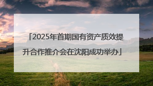 2025年首期国有资产质效提升合作推介会在沈阳成功举办