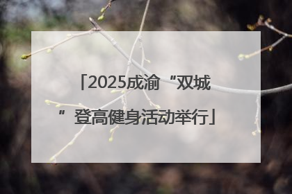 2025成渝“双城”登高健身活动举行