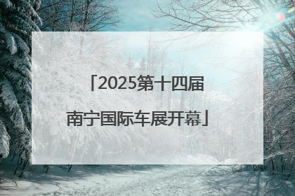 2025第十四届南宁国际车展开幕