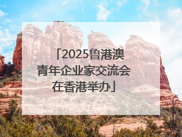 2025鲁港澳青年企业家交流会在香港举办