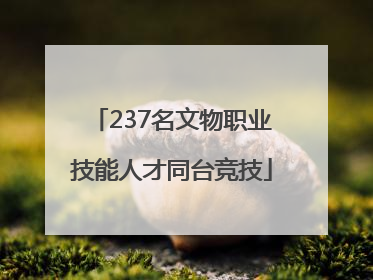 237名文物职业技能人才同台竞技